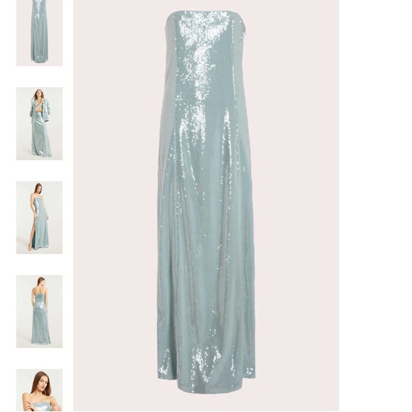 Cinq a sept collins gown size 6 - Picture 2 of 3